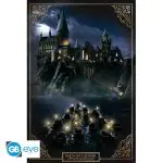 Harry Potter Poster Hogwarts Castle 113